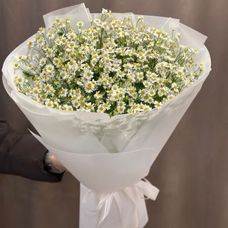 Букет з ромашок «Танацетум»