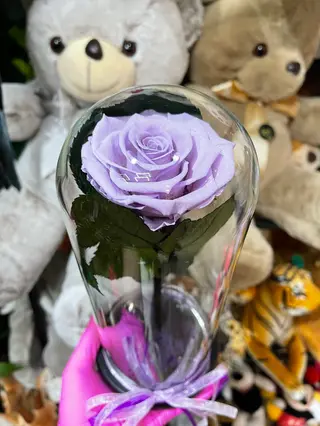 Crio Lilas Rose 