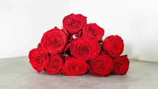 10 წითელი ვარდი
