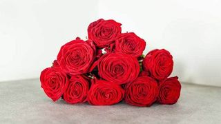 10 წითელი ვარდი