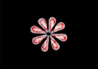 Ролл Тамчы  (260 г/8 шт)