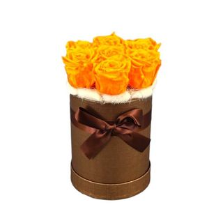 Hatbox de Rosas Laranja Preservadas