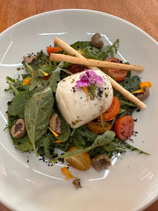 Burrata Con Tomate (Vegetarian)