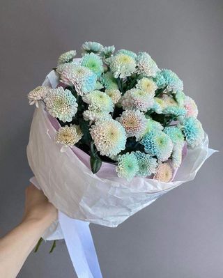 ქრიზანთემა