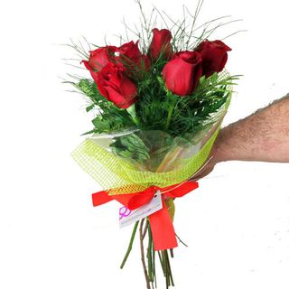 6 Rosas Rojas / 6 Roses Vermelles