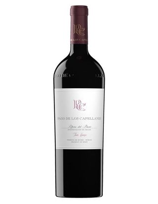 DO ribera duero Pago de los Capellanes crianza (75 cl.)