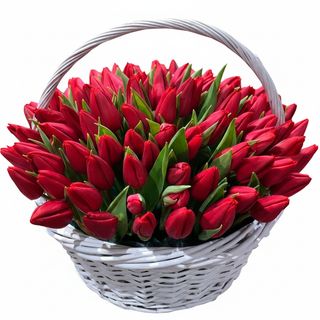 Кошик 75 червоних тюльпанів