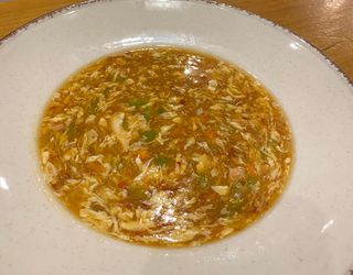 (48) Sopa agripicante