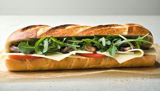 Panino 23