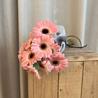 Paquete 10 Gerberas Mini