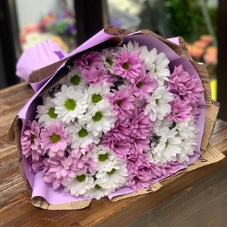 ფერადი ქრიზანთემა