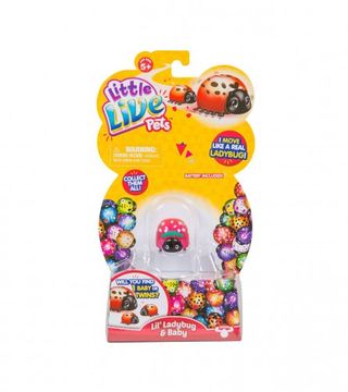 (184428) Igračka bubamara 65220530