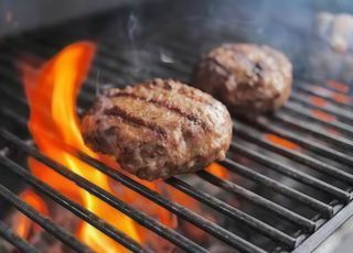 Hamburger Grigliato 2 pezzi con Contorno e Pane