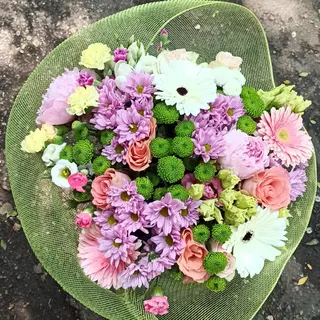 Bloom