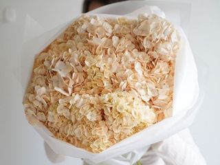 Soft  Hydrangea  M Size
