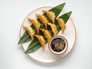 Гедза з качкою