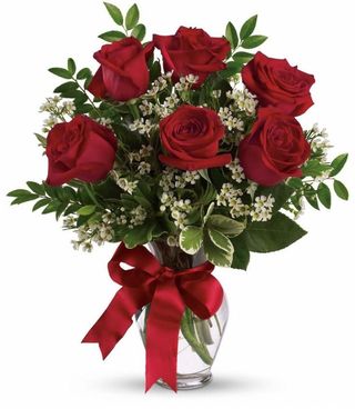 7 rose rosse gambo lungo