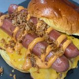 El Perrito Especial De La Casa