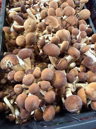 Chiodini 250 g