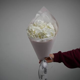 гортензія біла