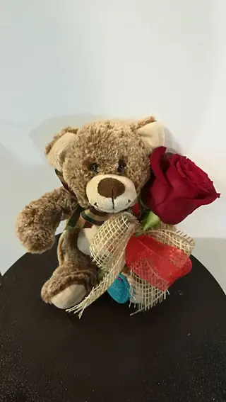 Rosa con Osito