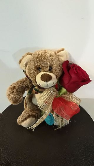 Rosa con Osito