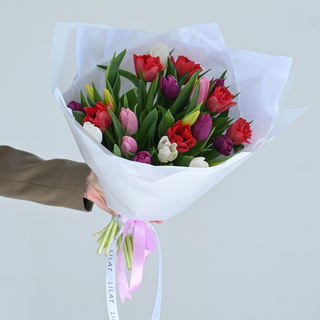 25 ჰოლანდიური ტიტა