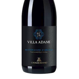 Villa Adani