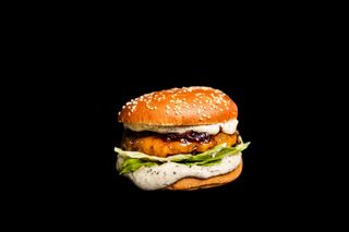 Truffle burger  double