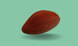 Andy Fava di Cacao