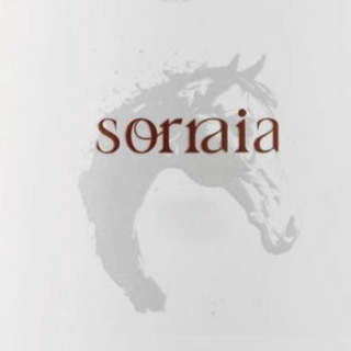 Sorraia Bolgheri