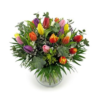 Ramo de 20 TULIPANES