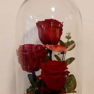 Trandafiri  criogenat (3buc) in cupola de sticla