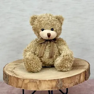 Oso De Peluche