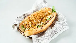 Salmon Dog