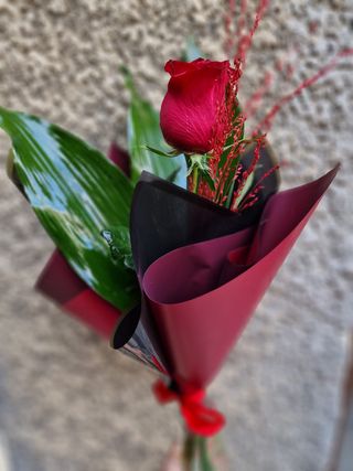 Trandafir cu verdeță 