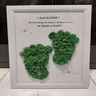 Tablou cu licheni pentru proaspeti parinti - 20x30