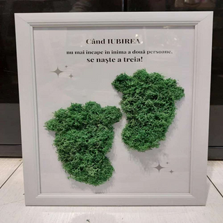 Tablou cu licheni pentru proaspeti parinti - 20x30