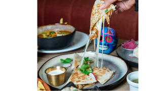 Quesadilla Chicken Mole