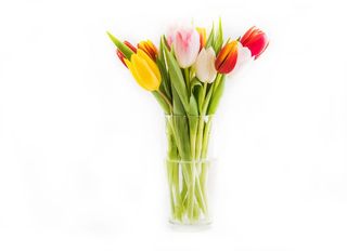 Микс лалета 11 бр