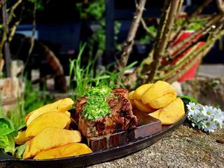 MUSCHI DE VITA LA GRATAR