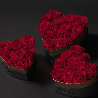 Caja corazón grande con rosas rojas eternas (18 aprx)