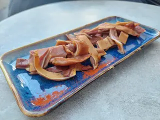 Urechiuse de porc
