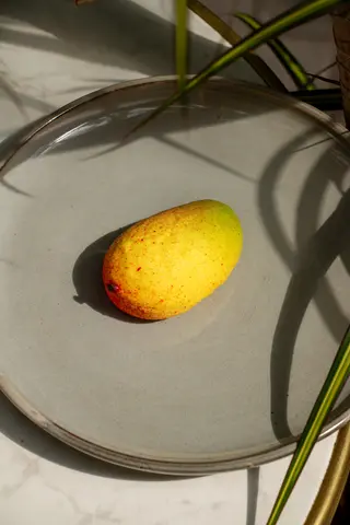 Mousse Mango