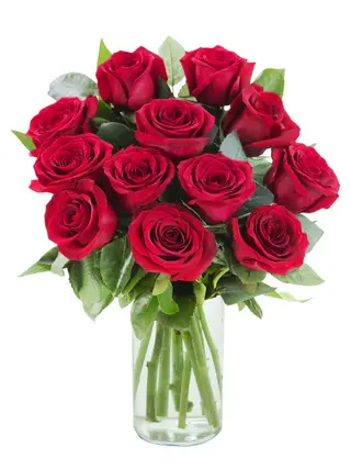 12 rose rosse