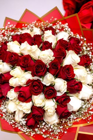 MY TRUE VALENTINE