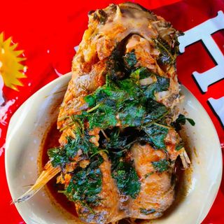 Catfish Head