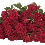 წითელი ჯუჯა ვარდები 5 ტოტი