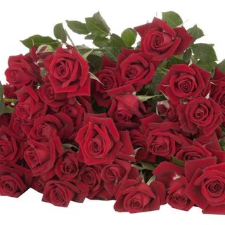 წითელი ჯუჯა ვარდები 5 ტოტი