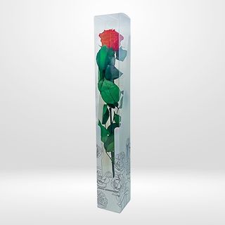 Rosa preservada en estuche